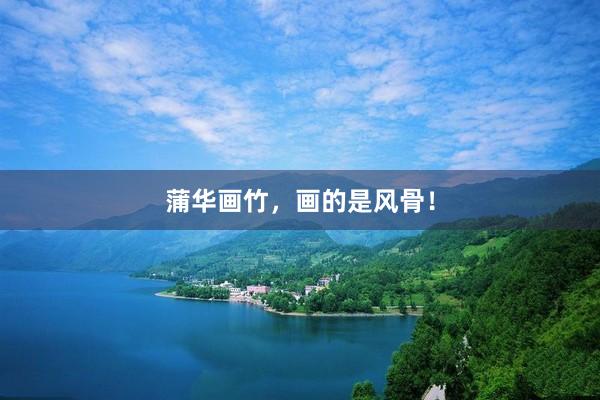 蒲华画竹，画的是风骨！