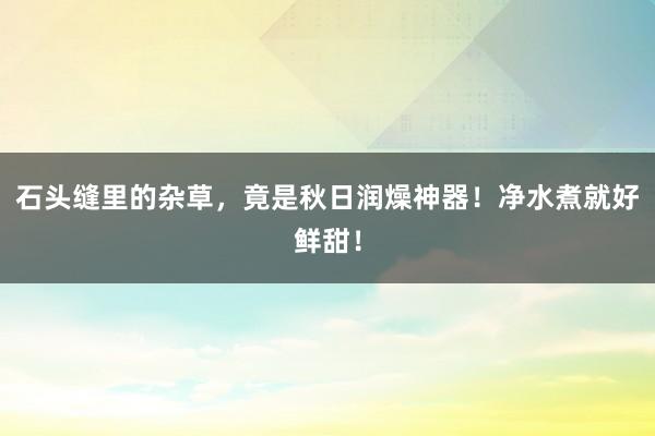 石头缝里的杂草，竟是秋日润燥神器！净水煮就好鲜甜！