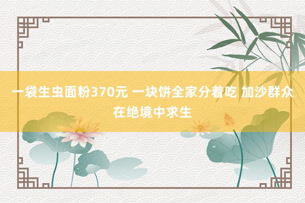 一袋生虫面粉370元 一块饼全家分着吃 加沙群众在绝境中求生