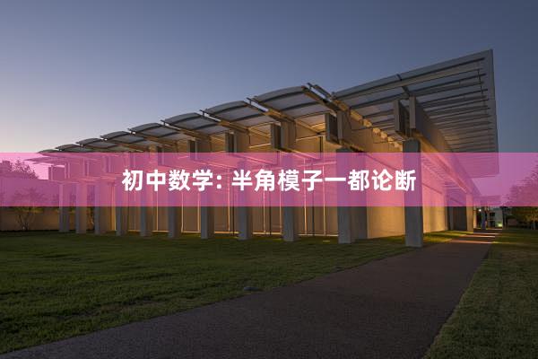 初中数学: 半角模子一都论断