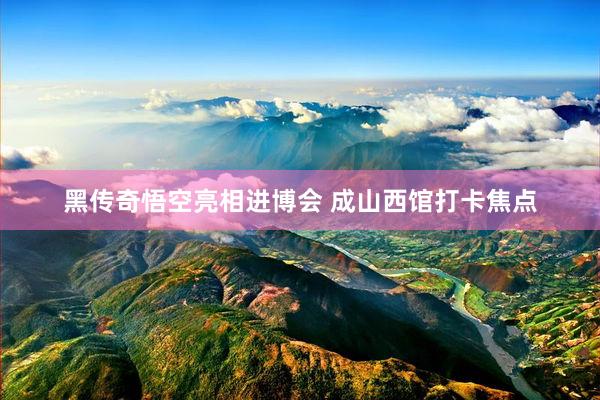 黑传奇悟空亮相进博会 成山西馆打卡焦点