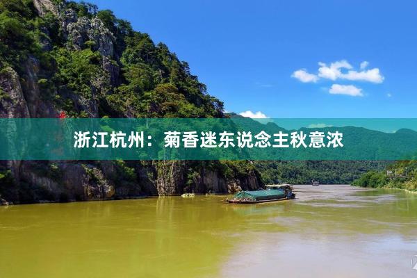 浙江杭州：菊香迷东说念主秋意浓