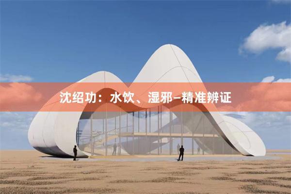 沈绍功：水饮、湿邪—精准辨证