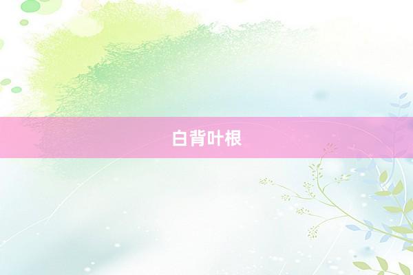 白背叶根