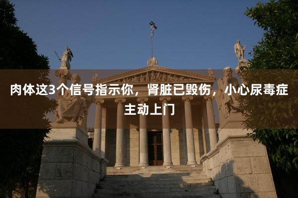 肉体这3个信号指示你，肾脏已毁伤，小心尿毒症主动上门