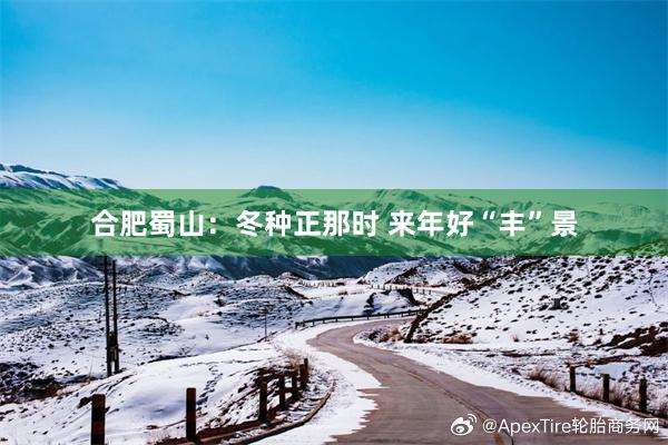 合肥蜀山：冬种正那时 来年好“丰”景