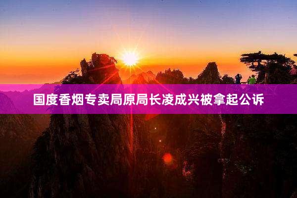 国度香烟专卖局原局长凌成兴被拿起公诉