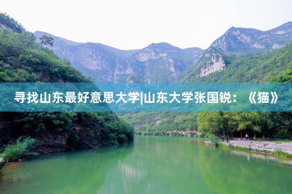 寻找山东最好意思大学|山东大学张国锐：《猫》