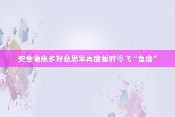 安全隐患多　好意思军再度暂时停飞“鱼鹰”