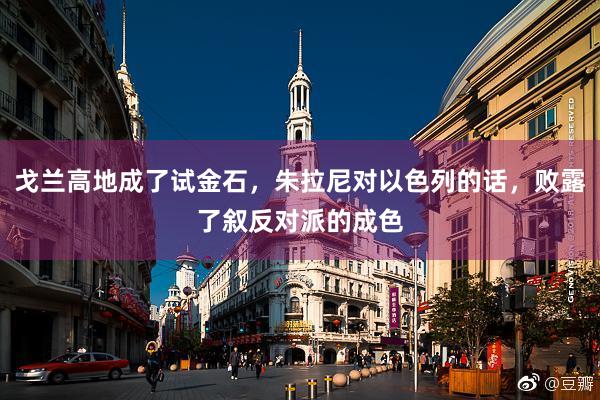 戈兰高地成了试金石，朱拉尼对以色列的话，败露了叙反对派的成色