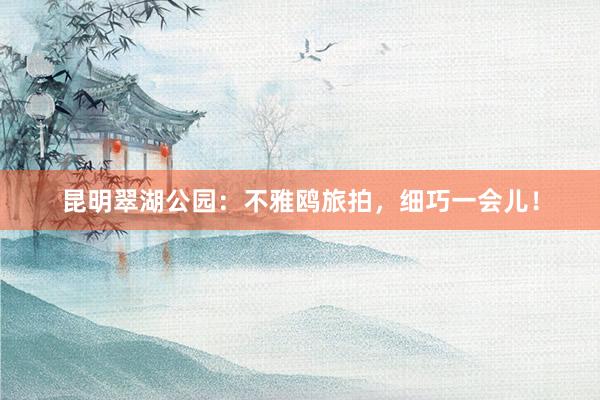 昆明翠湖公园：不雅鸥旅拍，细巧一会儿！
