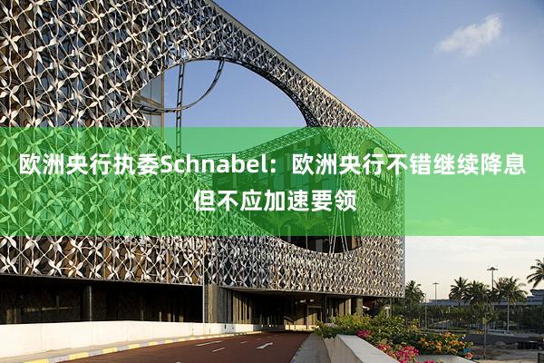 欧洲央行执委Schnabel：欧洲央行不错继续降息 但不应加速要领