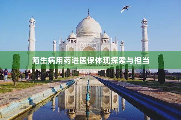 陌生病用药进医保体现探索与担当