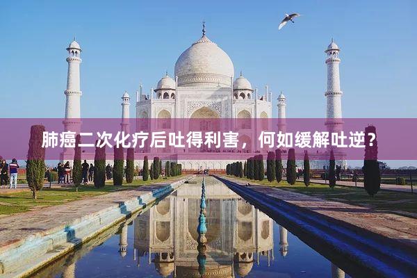 肺癌二次化疗后吐得利害，何如缓解吐逆？
