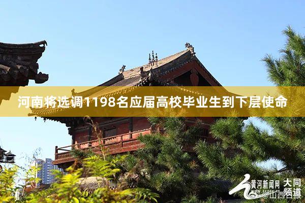河南将选调1198名应届高校毕业生到下层使命